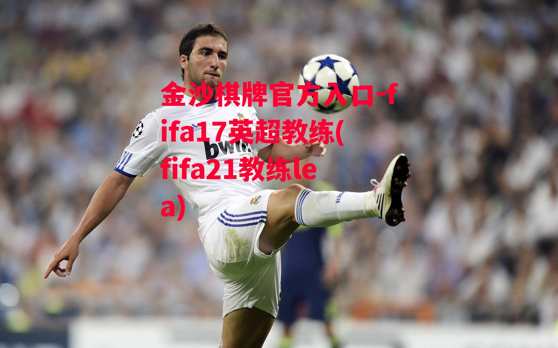 fifa17英超教练(fifa21教练lea)